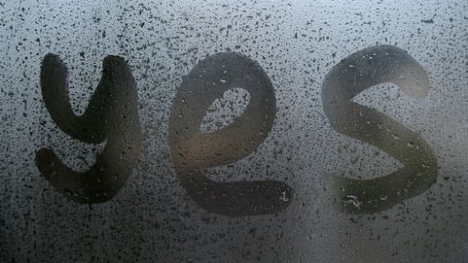 Konsens beim Sex - Blogparade